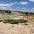  Land for rent in Tijuana, Baja California, Tijuana, Baja California