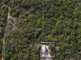  Land for sale in Cancun, Quintana Roo, Cancun, Quintana Roo