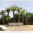 在Progreso, Yucatan出售的 土地, Progreso