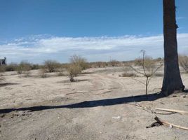  Grundstück zu verkaufen in Torreon, Coahuila, Torreon, Coahuila