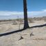 Grundstück zu verkaufen in Torreon, Coahuila, Torreon, Coahuila