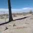  Grundstück zu verkaufen in Torreon, Coahuila, Torreon, Coahuila