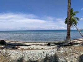 Terrain for sale in Palawan, Mimaropa, Puerto Princesa City, Palawan