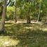  Terrain for sale in Palawan, Mimaropa, Puerto Princesa City, Palawan