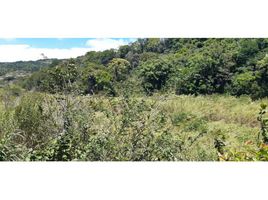  Terreno (Parcela) en venta en Chiriquí, Hornito, Gualaca, Chiriquí