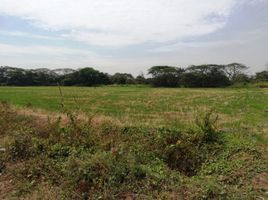  Land for sale in Daule, Guayas, Daule, Daule