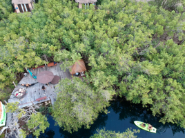  Grundstück zu verkaufen in Cozumel, Quintana Roo, Cozumel, Quintana Roo, Mexiko