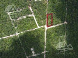  Land for sale in Cozumel, Quintana Roo, Cozumel