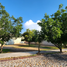  Land for sale in Aguascalientes, Aguascalientes, Aguascalientes, Aguascalientes