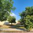  Land for sale in Aguascalientes, Aguascalientes, Aguascalientes, Aguascalientes