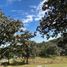  Land for sale in Zapopan, Jalisco, Zapopan, Jalisco