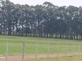  Land for sale in Chui, Rio Grande do Sul, Chui, Chui