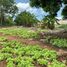  Land for sale in Merida, Yucatan, Merida, Yucatan