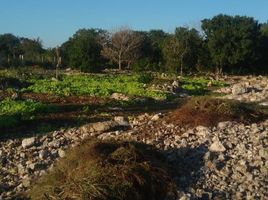  Land for sale in Merida, Yucatan, Merida, Yucatan