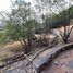  Land for sale in Temixco, Morelos, Temixco