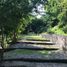  Land for sale in Temixco, Morelos, Temixco