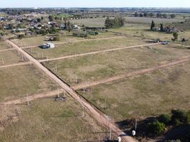  Land for sale in Gualeguaychu, Entre Rios, Gualeguaychu