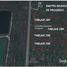  Land for sale in Progreso, Yucatan, Progreso
