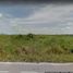  Land for sale in Progreso, Yucatan, Progreso