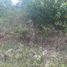  Land for sale in Dauis, Bohol, Dauis