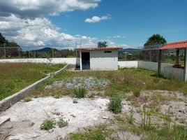  Terreno (Parcela) en venta en Munoz De Domingo Arenas, Tlaxcala, Munoz De Domingo Arenas