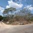  Grundstück zu verkaufen in Yaxkukul, Yucatan, Yaxkukul