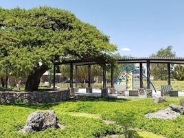  Land for sale in Huimilpan, Queretaro, Huimilpan