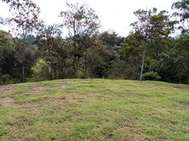  Grundstück zu verkaufen in El Carmen De Viboral, Antioquia, El Carmen De Viboral