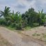  Land for sale in Malang Regency, East Jawa, Karangploso, Malang Regency