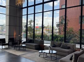 576.32 m² Office for rent in Tijuana, Baja California, Tijuana