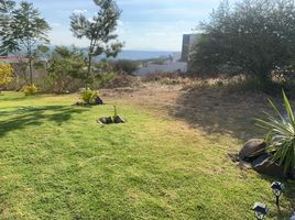  Grundstück zu verkaufen in Corregidora, Queretaro, Corregidora