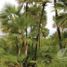  Grundstück zu verkaufen in Othon P Blanco, Quintana Roo, Othon P Blanco