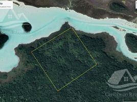  Grundstück zu verkaufen in Othon P Blanco, Quintana Roo, Othon P Blanco