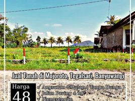  Land for sale in Banyuwangi, East Jawa, Gambiran, Banyuwangi