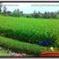  Land for sale in Selemadeg, Tabanan, Selemadeg