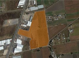  Terreno (Parcela) en venta en Irapuato, Guanajuato, Irapuato
