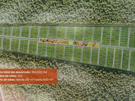  Land for sale in Hunucma, Yucatan, Hunucma