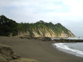  Terrain for sale in Muisne, Esmeraldas, Quingue Olmedo Perdomo Franco, Muisne