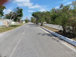 Grundstück zu verkaufen in Merida, Yucatan, Merida, Yucatan