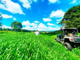 Estudio Casa en venta en Chiriquí, Cerro Punta, Bugaba, Chiriquí