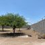  Grundstück zu verkaufen in Matamoros, Coahuila, Matamoros