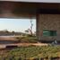  Land for sale in Progreso, Yucatan, Progreso