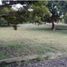  Land for sale in Buenos Aires, Panama Oeste, Buenos Aires, Chame