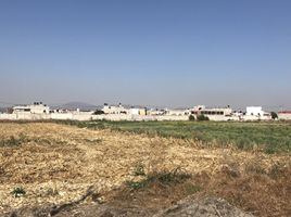 Grundstück zu verkaufen in Pachuca De Soto, Hidalgo, Pachuca De Soto