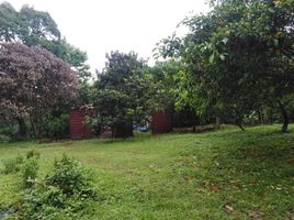  Terreno (Parcela) en venta en Antipolo City, Calabarzon, Antipolo City, Rizal