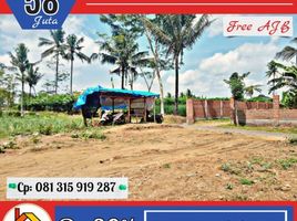  Land for sale in Kepanjen, Malang Regency, Kepanjen