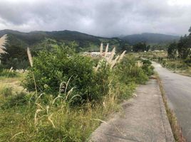  Grundstück zu verkaufen in Loja, Loja, Loja, Loja, Loja