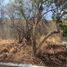  Land for sale in Zapopan, Jalisco, Zapopan, Jalisco