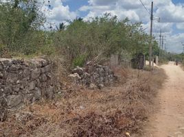 Terrain à vendre à Hunucma, Yucatan, Hunucma