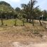  Terreno (Parcela) en venta en Alvarado, Veracruz, Alvarado